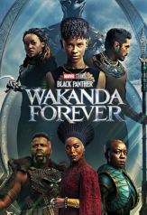 black panther: wakanda forever (2022)